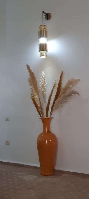 Riad Cosy 마라케시 외부 사진